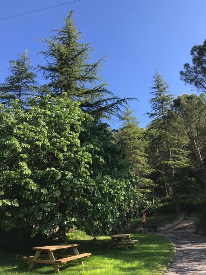 Frühstückspension Els Avets De La Muga Sant Llorenc de la Muga